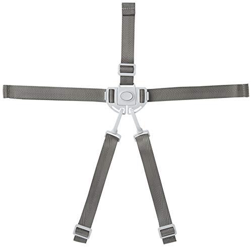 Boon Flair Harness/Buckle