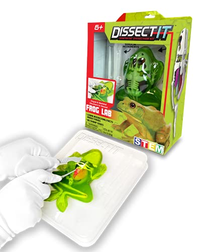 Top Secret Toys Dissect-It Simulated Synthetic Lab Dissection STEM Toy | Kids Home Learning Science Project, Great for Young Scientists! - Frog